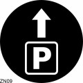 ZN09.jpg