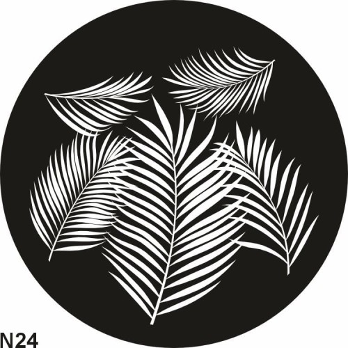 n24.jpg