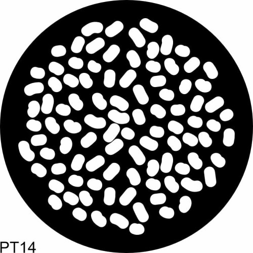 pt14.jpg