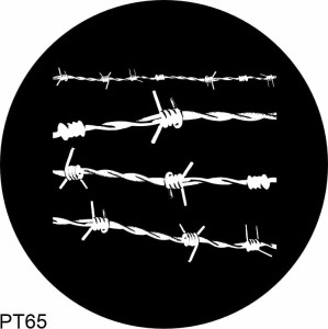 PT65